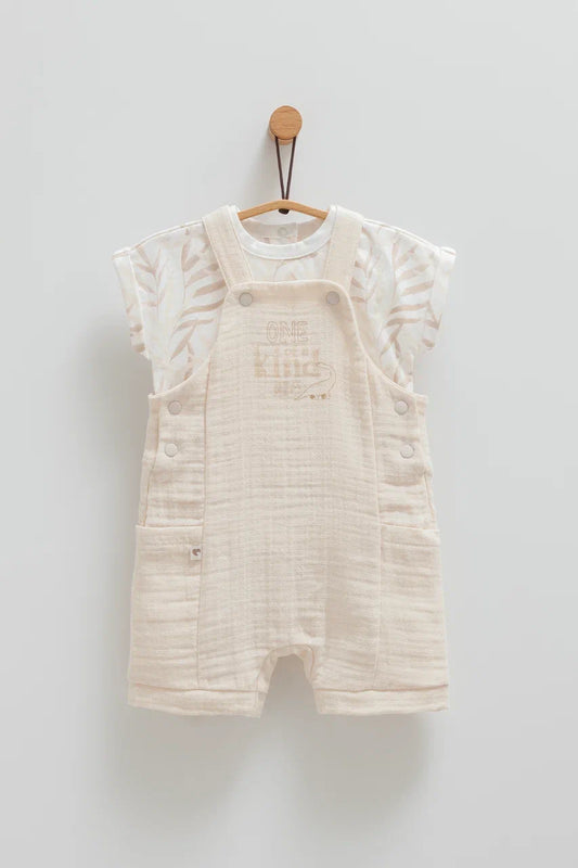 2-Piece Baby Set | Overall and T-shirt