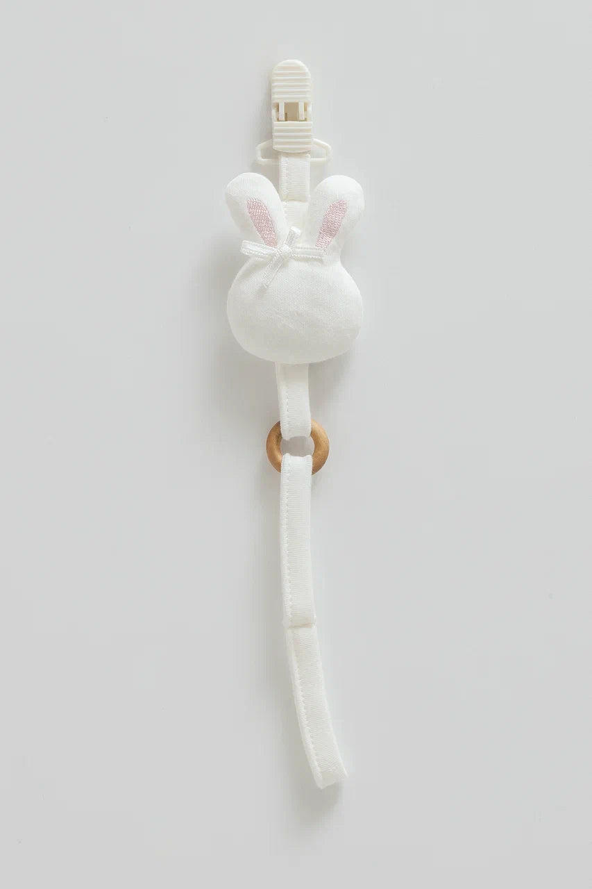 Pacifier Holder