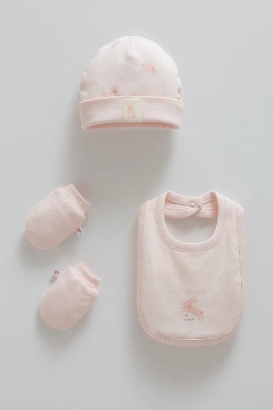 Baby Bib, Hat and Mittens