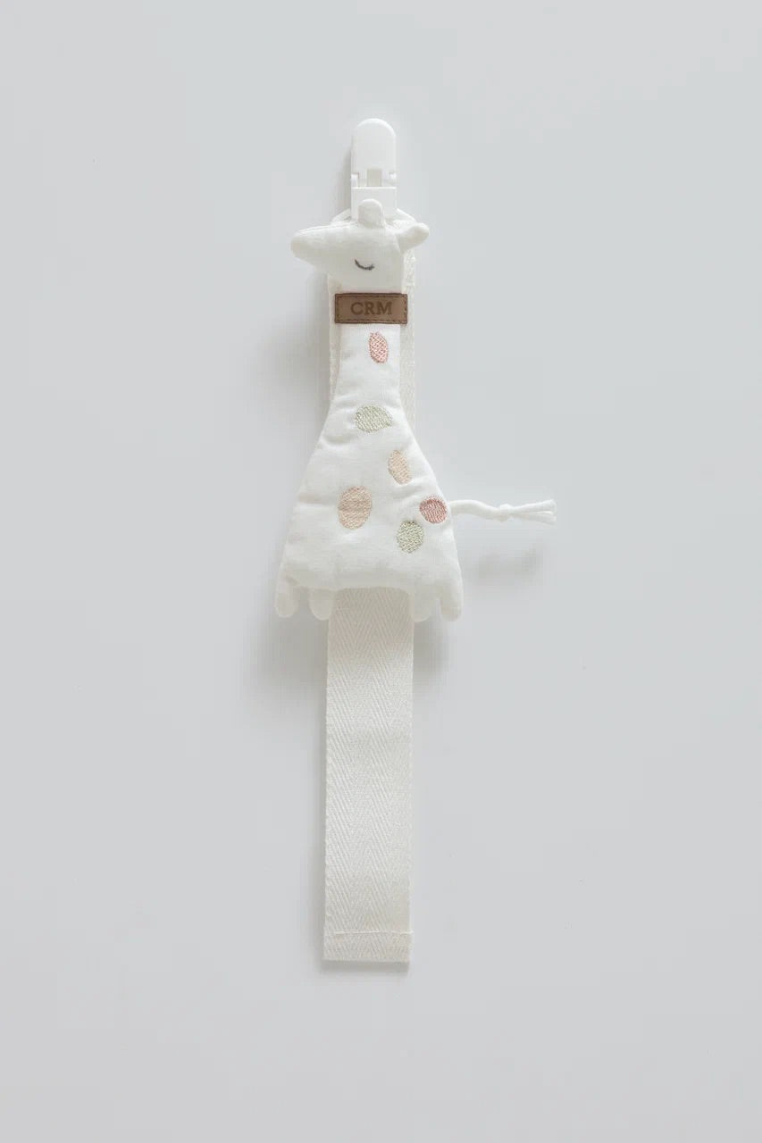 Pacifier Holder